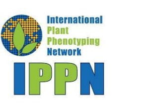 International plant phenotyping network logo