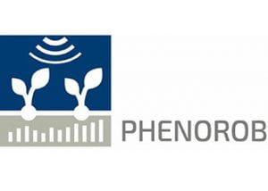 Phenorob logo